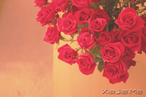 生命是一首悲欢交集的歌，我们都是那个唱歌的人 (3)