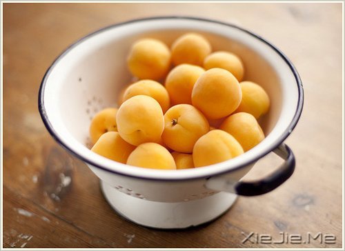 早安心语：人生与命运无关，与自己的选择有关 (1)