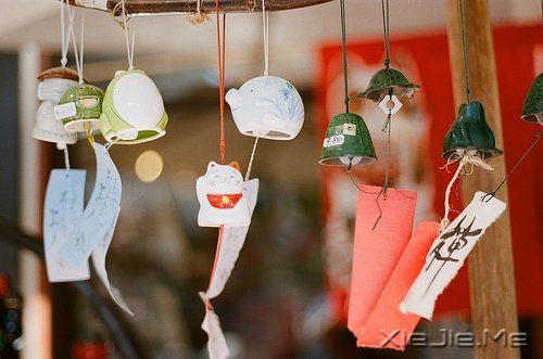 早安心语：人生与命运无关，与自己的选择有关 (3)