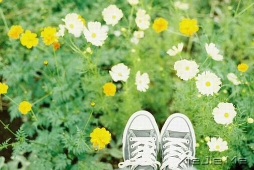 晚安心语：选择一条正确的路，坚定的走下去 (4)